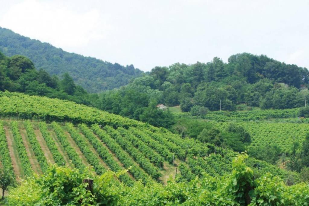 شقة I 4 Elementi Crespano del Grappa المظهر الخارجي الصورة